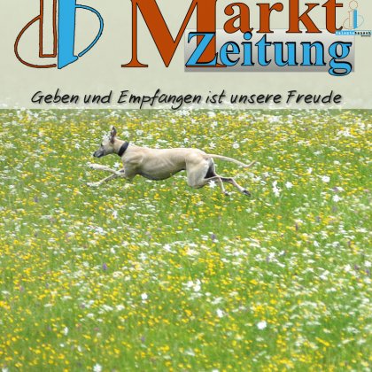 Marktzeitung von Februar 2020 (Talentetausch Kärnten)