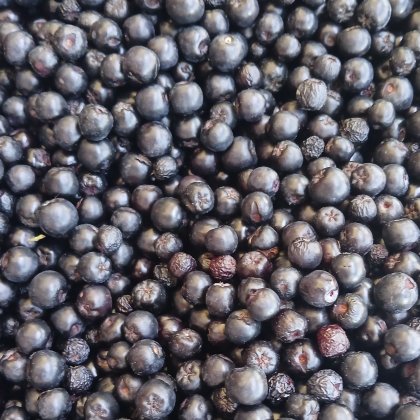 Obst Frische Aroniabeere (Talentetausch Kärnten)