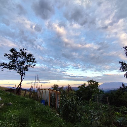 Haus-sitting Urlaub, Haus, Garten (Talentetausch Kärnten)