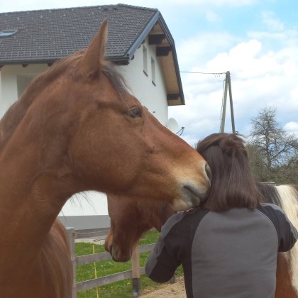 Pferdecoaching, pferdegestütztes Coaching, was jetzt, ACT, Werte Mein Kind wei&szlig;t nicht was zu tun nach Matura (Talentetausch Kärnten)