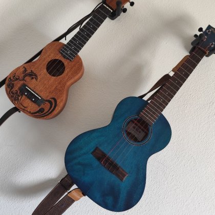 Instrumente, Musik Ukulele Unterricht Anfänger (Talentetausch Kärnten)