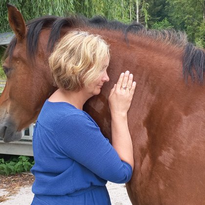 Pferdecoaching, pferdegestütztes Coaching, ACT Wenn Partnerschaft endet (Talentetausch Kärnten)